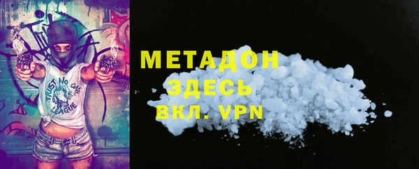 прущие грибы Горняк