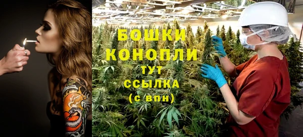 прущие грибы Горняк