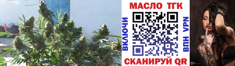 ТГК THC oil  Кандалакша 