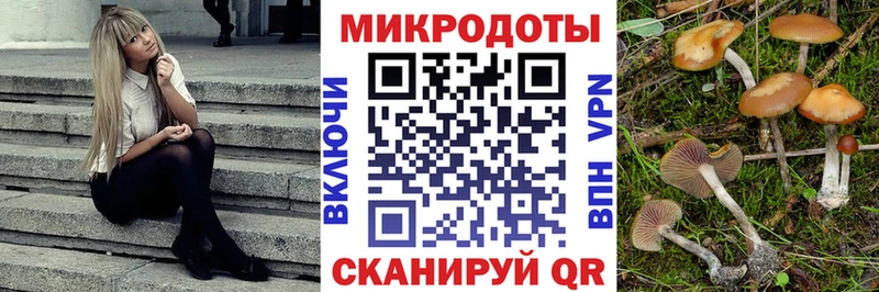 Галлюциногенные грибы мицелий Кандалакша